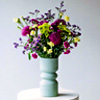 Purple Flowers : Colvinco