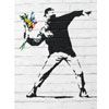 Flower Bomber Wall Art Print | AllPosters