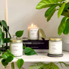 Forest Candle Gift Set - Brooklyncandlestudio.com