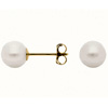 Freshwater Cultured Pearl : Blue Nile