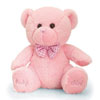 Girl Pink Bear - Bluebellsflora