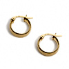 GAIA Mini Hoops : Roen Nyc