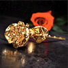 Golden Rose In A Gift Box : Manboxeo.cz
