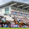 Grandstand Enclosure : The Jockey Club