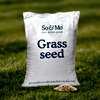 Grass Seed | Soandmo.com