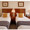 Guest Twin Room - Royalhorseguardshotel