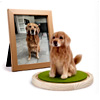 Handmade Pet Felt Miniature Ornament : Crown And Paw