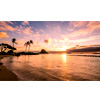 Hawaii Cruises | HollandAmerica