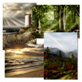 Heartfelt Sympathy Cards : CurrentCatalog