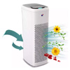 Morris HEPA Filter Air Purifier for Dust : Morris Direct