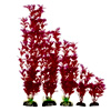 Hugo Rotala Macandra - Fishcave Aquatics