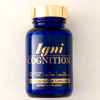 Igni Cognition Brain - Igniton 