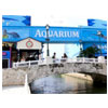 Interactive Aquarium Admission : Interactive Aquarium