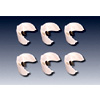 InterceptCS Replacement Activators : GlobalWellnessProducts