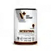 Intestinal Dog : Vet Expert