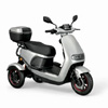 IVA TR3 2.0 Silver - Govida.nl