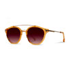 Kinsrow Acetate : Shwood Shop