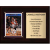  Knicks Hall of Fame Stats Plaque Hoops | FreshDCards