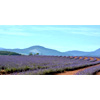 Launceston : Virgin Australia