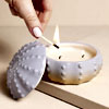 Sea Urchin Lavender Ceramic Candle : LisaAngel