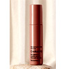 Leave-in Perfecting Cream : Champohaircare.com
