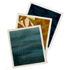 Leihōkū Reusable Cloth Set : Noho Home Hawaii