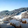 Les Chalets du Berger Premium  : Ski France