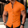 Linen Shirt Band Collar - PunkTrendy