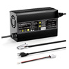 Lithium LiFePO4 Battery Charger : Noeifevo
