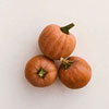 Lodi Squash , Row 7 Seeds