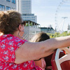 Essential Ticket : Bigbustours.com