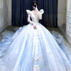 Long Sleeved Dress With Large Tail : PinkRoses