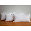 Lumbar Pillow Insert - Hacknerhome