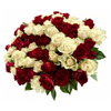 Luxury Red and White Roses - Chelsea Florals