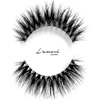 Luxury Silk Lashes : FoxyLocks