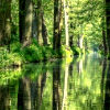 Magical Spreewald : Aovo.de