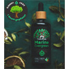Marine Evergreen : Naturise