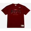 Men's Red Chicago Bulls Vintage T-Shirt : Mitchell And Ness