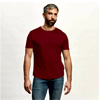 Men's Merino Crew Tee : Citizen Wolf