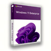 Microsoft Windows 11 Enterprise : Zaplicense