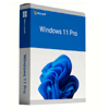 Microsoft Windows 11 Pro : TheUnitySoft