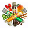 Mini-Kickers Set : Edible Insects