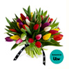 Mixed Tulips : Flower Station