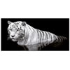 Modern Picture Panel Pintdecor Tiger : Abitarearreda