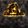 Mountain Dog LED Wall Picture | Beleuchtete Wandbilder