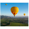 Napa Valley Hot Air Balloon Ride - Virgin Gifts  