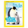 National Geographic Magazine | MagazineLine 	