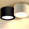 Nordic Style Indoor Surface Flush Ceiling Lights :LampsModern