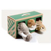 Olifant Leeuw Giraf : Sazo Kids And Co