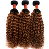Ombre Colored Jerry Curly : Arabellahair.com